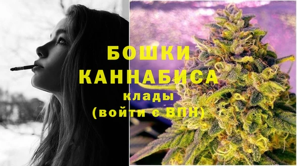 2c-b Богородск