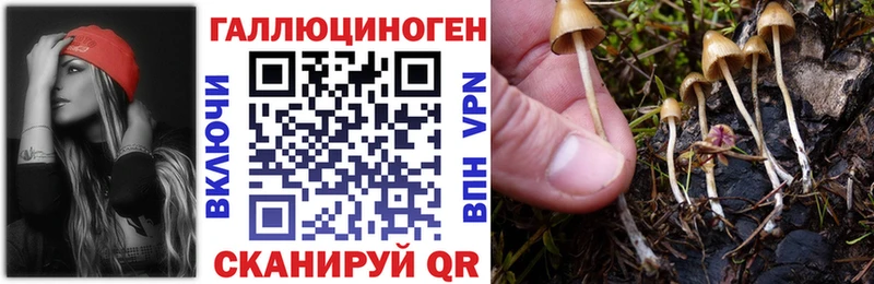 дарк нет наркотические препараты  Великий Устюг  Псилоцибиновые грибы мицелий 